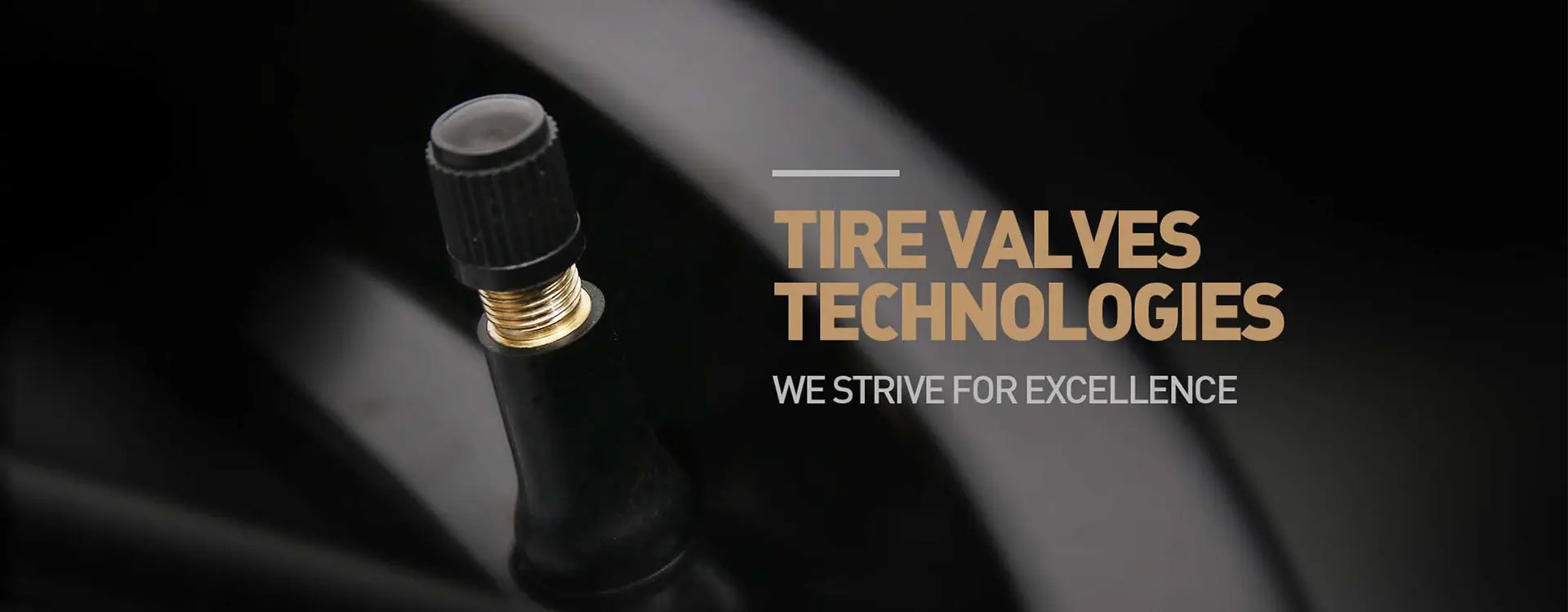 WE STRIVE FOR EXCELLENCE